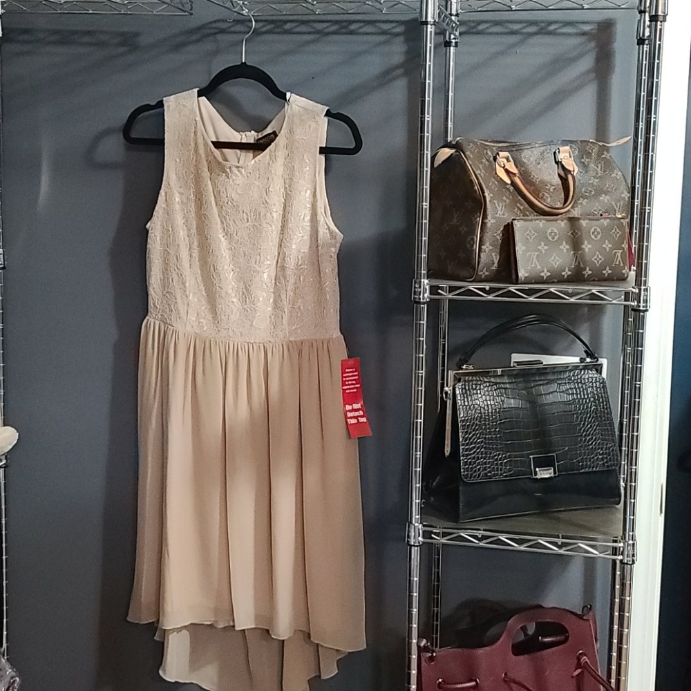 Women Sleeveless Dress (Size 14)